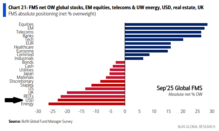 bank of america, menadžera velikih fondova